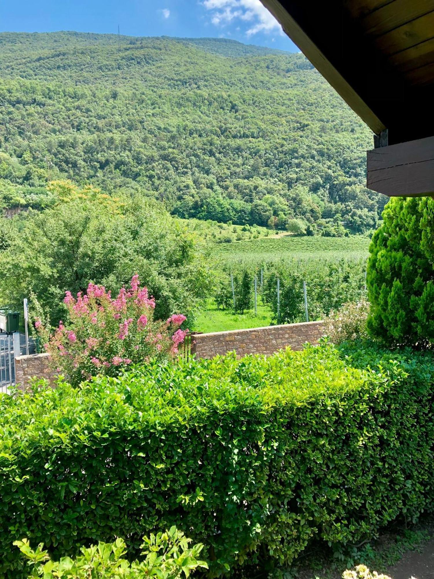 Casa Sally San Michele allʼAdige Esterno foto